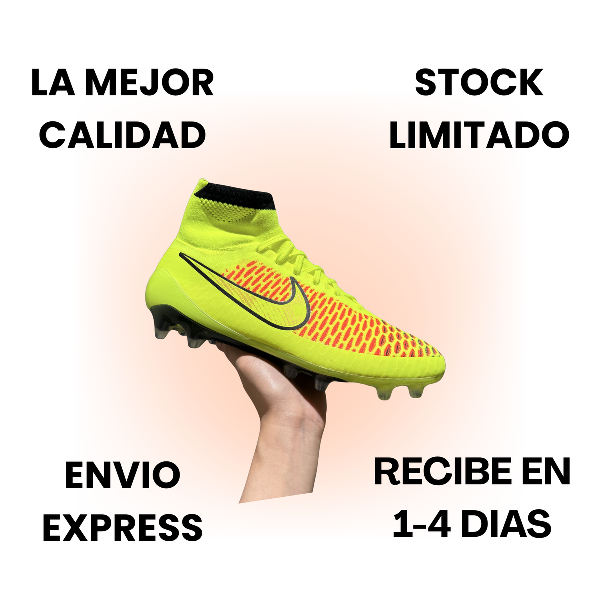 Magista Obra EXPRESS