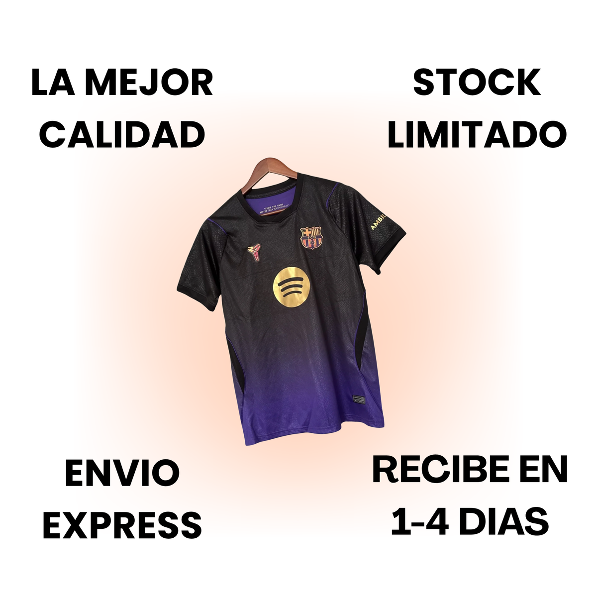 Barcelona 26/27 VISITA EXPRESS