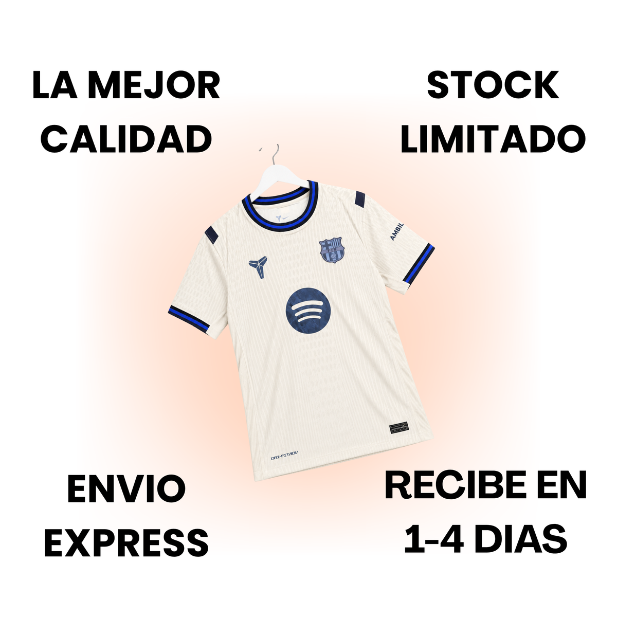 Barcelona 25/26 Visita EXPRESS